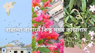 নিজের বারান্দা বাগানে একটি সুন্দর সকাল | Gardening | Daily Vlog Part 23 | @mitaslifediary