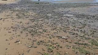 EPA investigating why lead-contaminated rocks are washing up along coast in Keyport, NJ