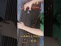 山丹丹 古筝独奏 古筝 guzheng 南音 山丹丹开花红艳艳