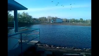 Городское озеро в парке отдыха или на месте его фонтан?...