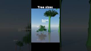 The Tallest Tree In The World