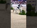 $125,000 #lugano #diamonds #grandprix #jump #off #rider #tracyfenney #usa  #horse mtm #apple