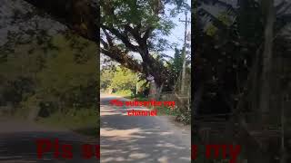 ইরার নানু বাড়ির গ্রামের রাস্তা।। #ইরা #ira #funnyvideo #funny @irasblogs #গ্রাম_বাংলার_রূপ #গ্রাম