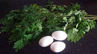 Drumstick leaves and eggs cooking | moringa leaves egg recipe