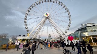 Old Montreal Glimpse | La Grande roue de Montréal #4k  #2023 #montreal #montrealdowntown