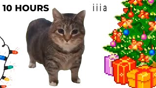 OIIAOIIA Cat Last Christmas [10 HOURS] Spinning Cat Meme