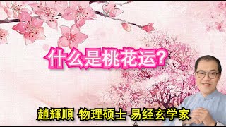 【趙辉顺】EP43/1：何为桃花？桃花运好吗？有什么现象？【量子易经 - 谈易论经】