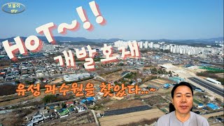 부동산 탐방 | 대전시 유성구 구암동 과수원의 주변 입지, 개발호재 중점 분석