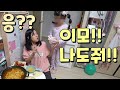 기생충 주제에 남의집에서 혼술은 무슨..생각이 짧았습니다(ft.조카)