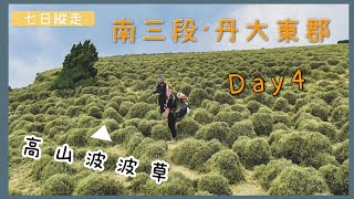 南三段．Day4 | 童話世界的幸福早晨、療癒高山波波草原、可樂可樂安山