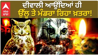 Diwali 2024 : ਦੀਵਾਲੀ 'ਤੇ ਖ਼ਤਰੇ 'ਚ ਉੱਲੂ, ਐਕਸ਼ਨ 'ਚ ਸਰਕਾਰ ! | Owl hunting during diwali | abp Sanjha