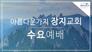 2022.08.24 수요예배ㅣ아름다운가지 장지교회