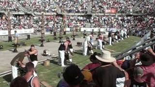 Single-Handed Sawing World Championship 2009 - Robert Dowling, Adam Lowe \u0026 Jason Wynyard