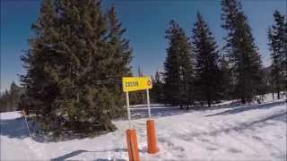 Piste da sci Folgaria: pista rossa Coston