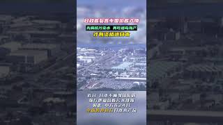 “这副嘴脸，似曾相识！”日本政客叫嚣：中国游客入境先吃福岛扇贝，送到核电站游泳 龙湾 # 日本 # shorts