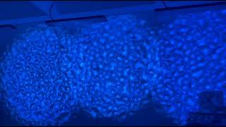 300w high-power water ripple projection lamp lighting projects effect