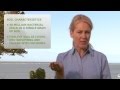 How to Care for Your On-site Septic System (Septic 101)