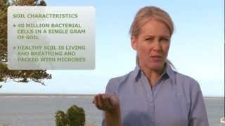 How to Care for Your On-site Septic System (Septic 101)