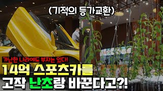 베트남부자들이 돈 버는 충격적인 방법!! 10억짜리 난초들이 사방에 널려있네 ㄷㄷ;