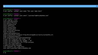 How to Clear Screen and Exit in Git Bash. [HD]