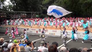 スーパーよさこい2013　甲斐◇風林火山