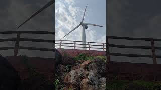 #windmills #devgad #beach #nature #subscribe #viralsong #viralshorts #viralvideo #maharashtra #likes