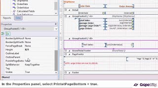 FlexReport Designer: Using the PageBottom Property