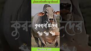 আসছে আগামী | কিছুদিন পর কুরবানীর ঈদ | আবদুল্লাহ লাবিব | Abdullah Labib