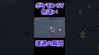 【ポケモンSV】色違い遭遇の瞬間11（輝きパワー3） #Shorts