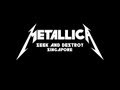 Metallica Singapore 2013 - Seek And Destroy HD