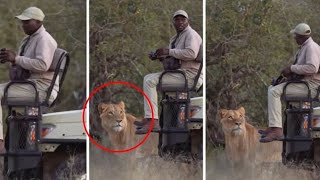 Damn Nature You Scary | Funny and Scary Animal Encounters 2022!