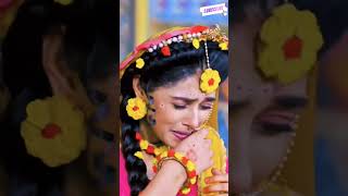 Dil Teri Yaad Mein Rota Hai Sawai Bhatt #shortvideo #himeshreshammiya #jenniferwinget #viral