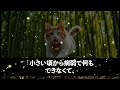 【感動する話】訳あって病院で清掃員として働く凄腕外科医の俺。余命宣告されて泣く女子学生のピンチを救うと「あなた一体何者なんですか？」俺が正体を打ち明けると【いい話・朗読・泣ける話】