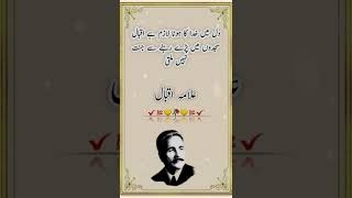 Allama Iqbal Poetry|Iqbal Quotes|علامہ اقبال کی شاعری|Deep and True Lines|Hearts Touching Quotes|