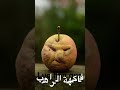 فاكهة الراهب