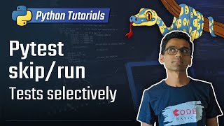 Python unit testing - skip/selectively run tests in pytest