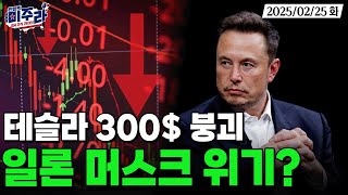 위기의 테슬라! 일론 머스크 부정 여론 71%? 300$ 무너진 테슬라