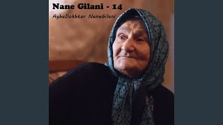 Nane Gilani - 14