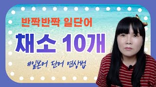 [반짝반짝 일단어]#17. 채소 단어 (10개) 일본어 단어