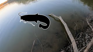 First Big Catfish of the Year on The Meramec River