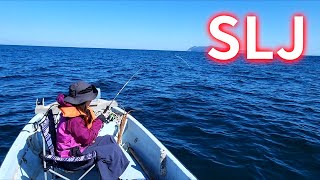 【SLJ】Attempting to Target Madai with Super Light Jigging - Results...