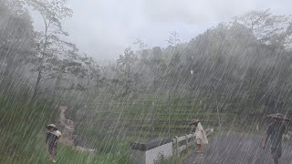 Walking in Heavy Rain and Powerful Thunder | Heavy Rain hit Indonesia's Villages | Rain for Sleeping