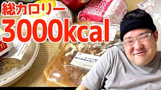 【ドカ食い気絶部】VTuberの配信を見ながら大量に飯を食べぐっすりと眠りに落ちる30代実家暮らし独身男性のリアル【棚橋】【なかっさんと田辺】