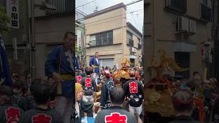 2023 深川八幡祭り 6年ぶり 江戸三大祭り みんなずぶ濡れぶっかける水かけ祭り迫力満点 富岡八幡宮例大祭 渡御 Fukagawa Tomioka Hachimangu Shrine #shorts