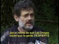 la verdad sobre las drogas. entrevista a terence mckenna