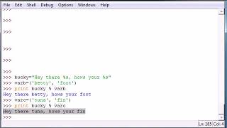 Python Programming Tutorial – 17 – Strings n Stuff
