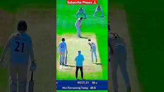 Best Catch Ever Wicketkeeper 🙌 | #cricket #testcricket #shorts #catch