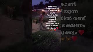 വിശപ്പ് എല്ലാവർക്കും ഒരു പോലെ🐕🐕🐕🐕🐕 #dog #aug #life #doglover #pet #petlovers #youtube #puppy #house