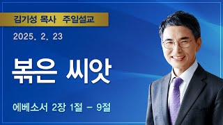 [2025.2.23 주일설교] 볶은 씨앗 (에베소서 2:1~9) / 김기성 목사 / 기쁜소식부산대연교회