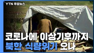 코로나에 이상기후까지...北 식량위기 오나 / YTN